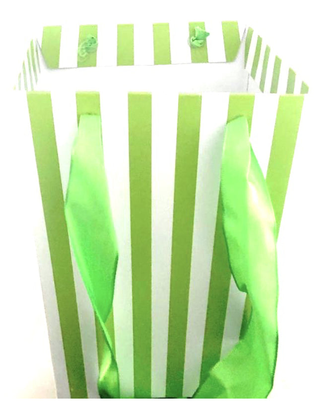 Green Striped Cardboard Goodiebags