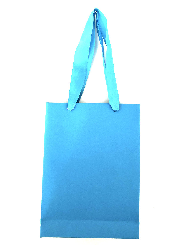 Blue Paper Goodiebag