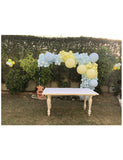 Balloon Garland