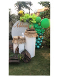 Balloon Garland with backdrop