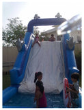 Dolphin Water Slide